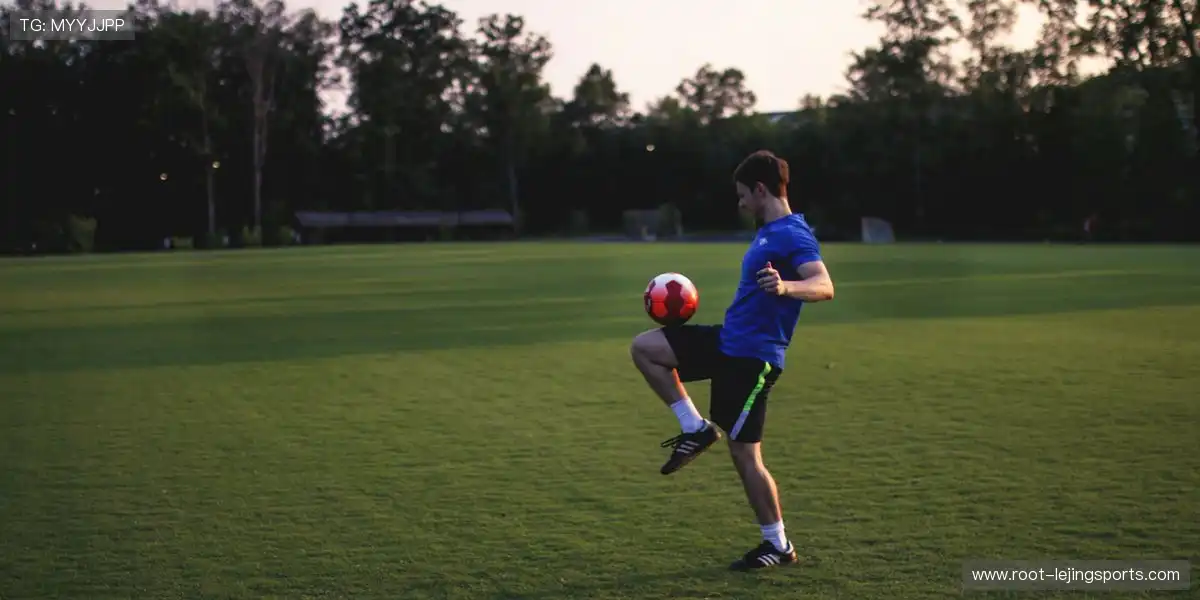 体育培训体系具备更多延伸性